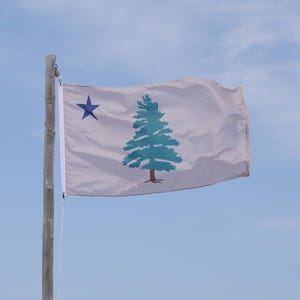 May include: A white flag with a blue star and a green pine tree on a wooden pole against a blue sky.