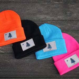 1901 Maine Flag Beanie