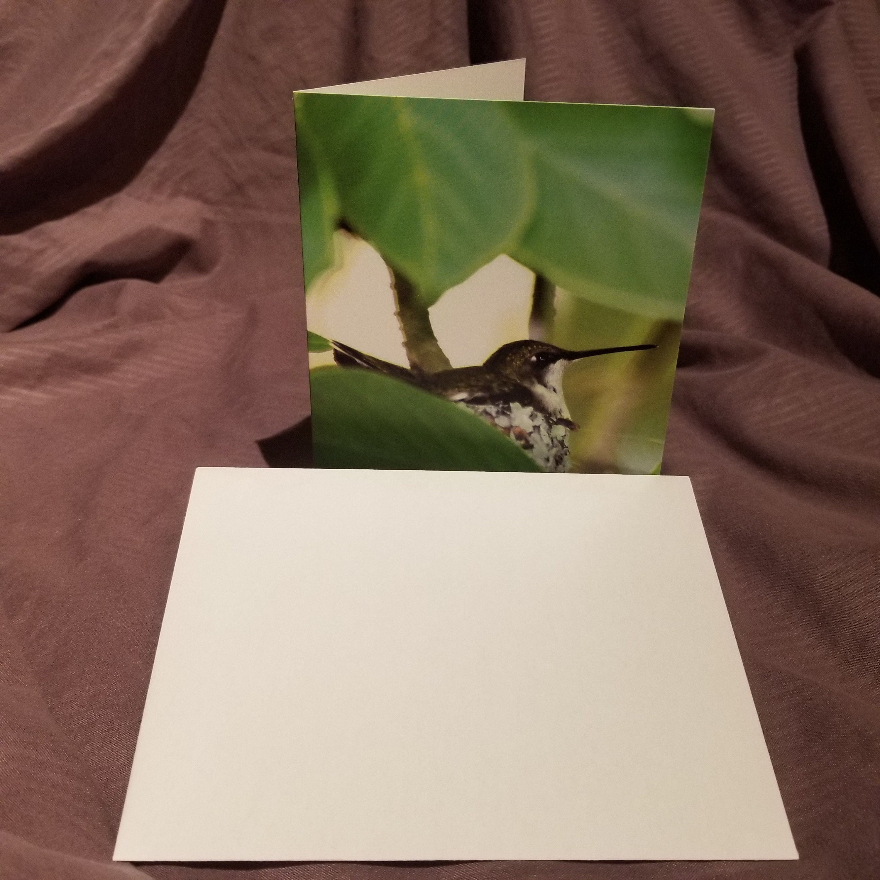 Hummingbird Card Etsy