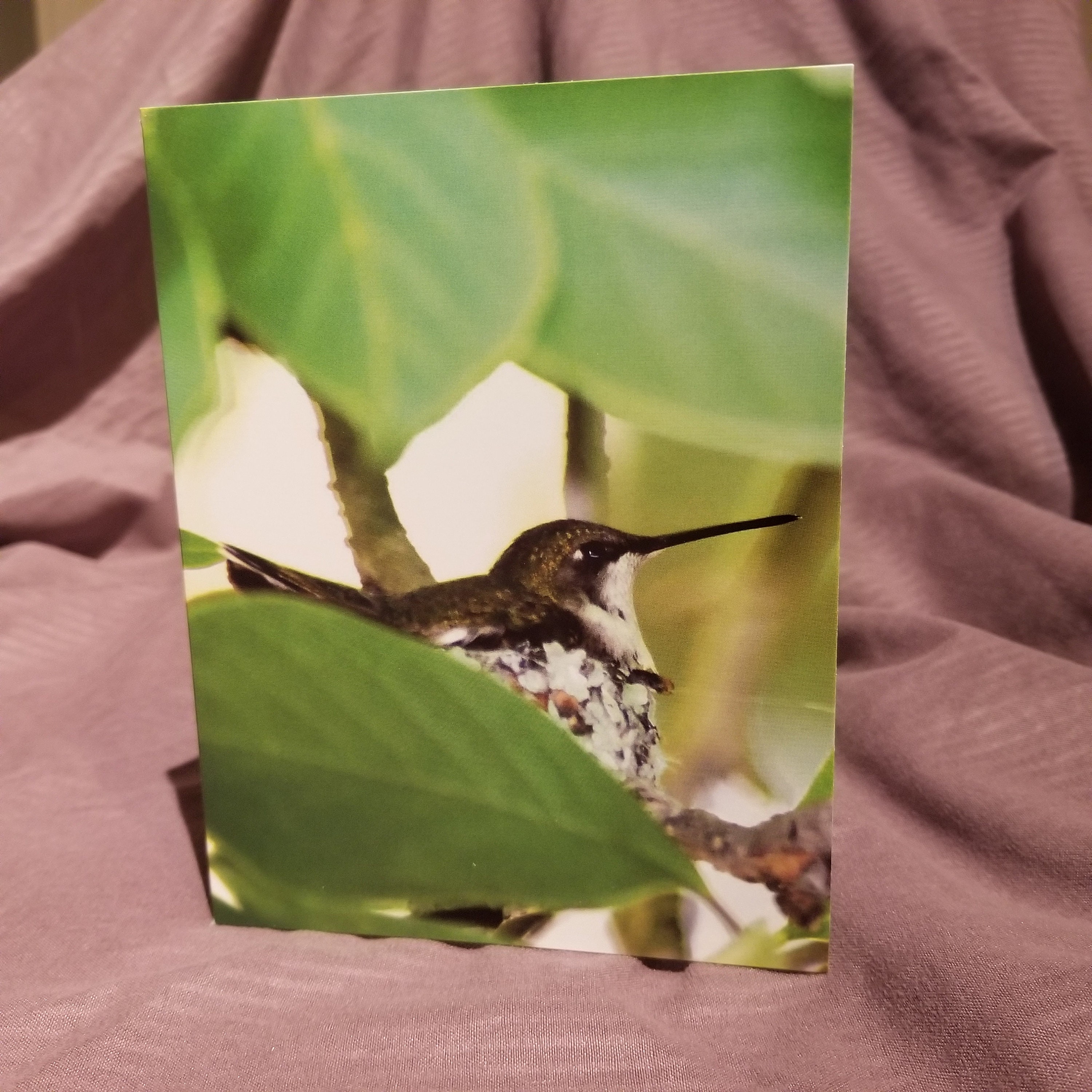 Hummingbird Card Etsy