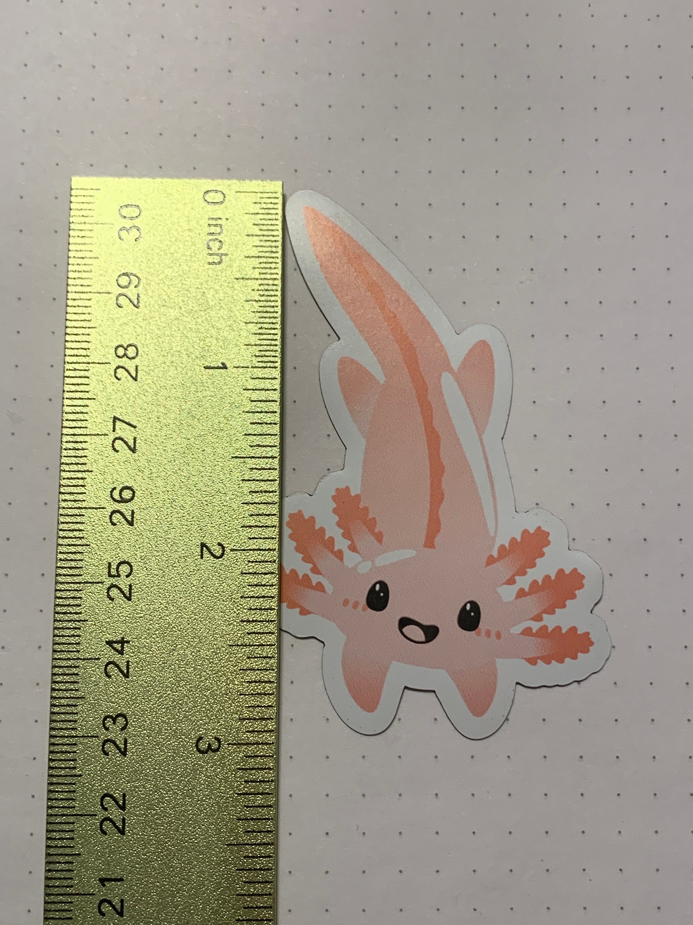 Cute Axolotl Fridge Kawaii Axo Cute Fridge Etsy