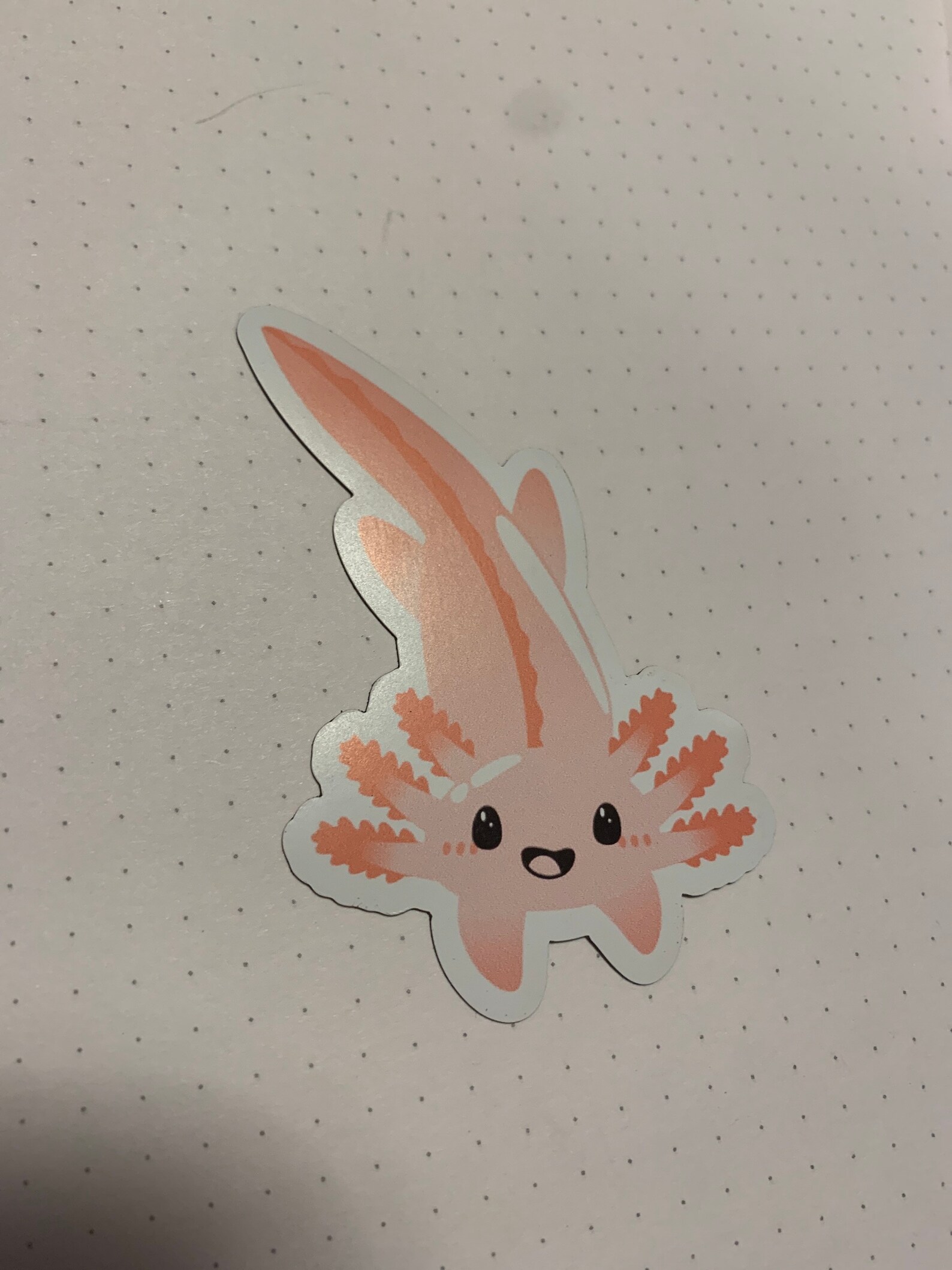 Cute Axolotl Fridge Kawaii Axo Cute Fridge Etsy