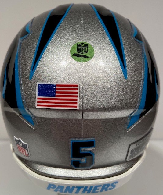 Carolina Panthers Custom Mini Riddell Football Helm - Bridgewater ...