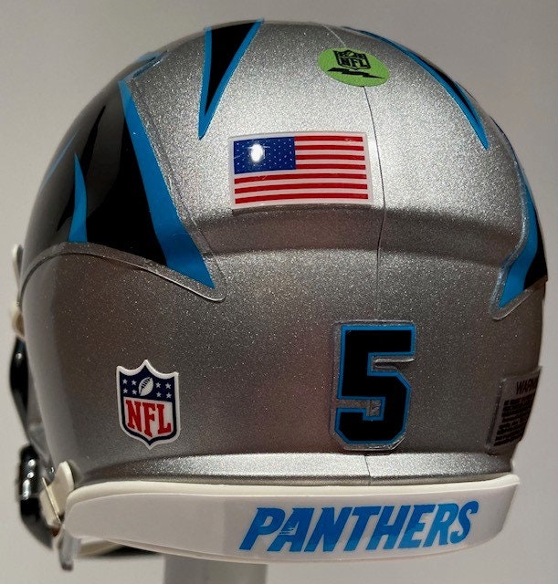 Carolina Panthers Custom Mini Riddell Football Helm | Etsy