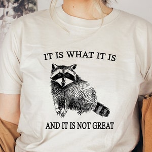 It Is What It Is And It Is Not Great Shirt, Raccoon Meme Shirt, Sarcastic Shirt, Vintage Raccoon Shirt, Trendy Shirt, Funny Saying Shirt