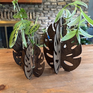 Set of Three Monstera Leaf Propagation Station