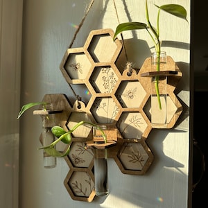 Wall Hanging Propagation Station