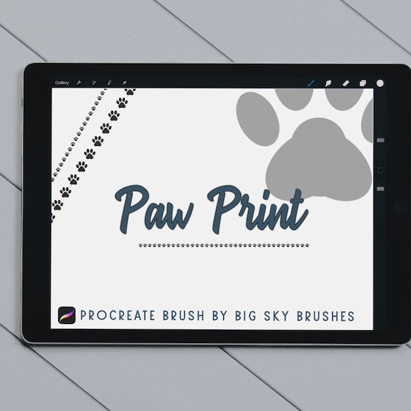 Paw Print Procreate Brush | Digital drawing Brush, Stamp, Hand lettering, Calligraphy