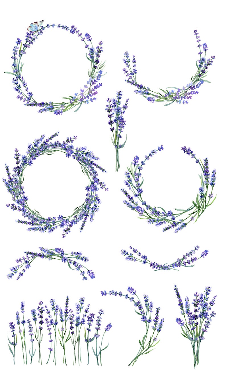 Watercolor lavender clipart boho wedding clipart vintage | Etsy