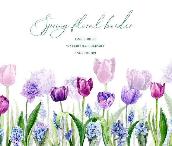 Tulpen Hyazinth Muscari Fruhling Blumen Grenze Aquarell Etsy