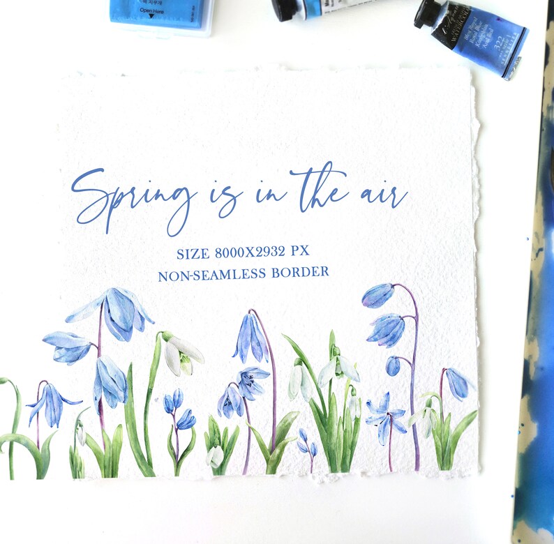 Easter flowers png Snowdrops and scilla botanical clip art Early spring flowers non-seamless border watercolor clipart