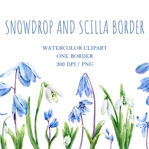 Easter flowers png Snowdrops and scilla botanical clip art Early spring flowers non-seamless border watercolor clipart