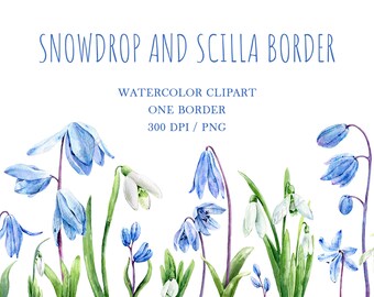 Easter flowers png Snowdrops and scilla botanical clip art Early spring flowers non-seamless border watercolor clipart