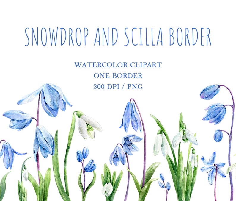 Easter flowers png Snowdrops and scilla botanical clip art Early spring flowers non-seamless border watercolor clipart