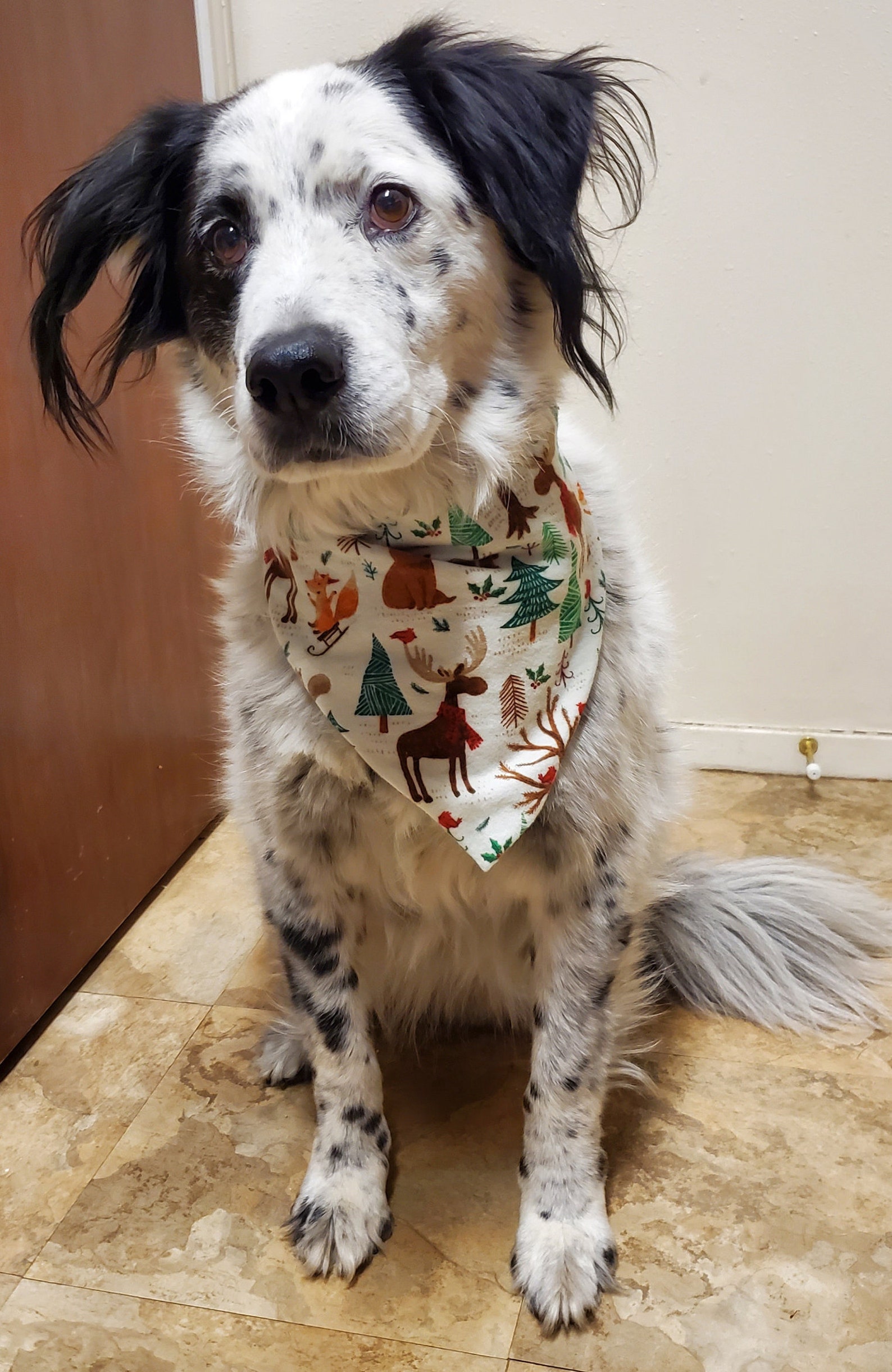 christmas-reversible-dog-bandana-snap-on-reversible-dog-etsy