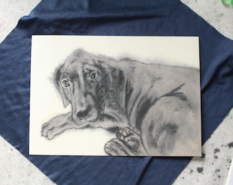 May include: A charcoal drawing of a dog lying down, with a soft, textured appearance. The dog's fur is depicted in shades of gray, with detailed shading to create depth. The dog's eyes are open, and it appears to be looking at the viewer.