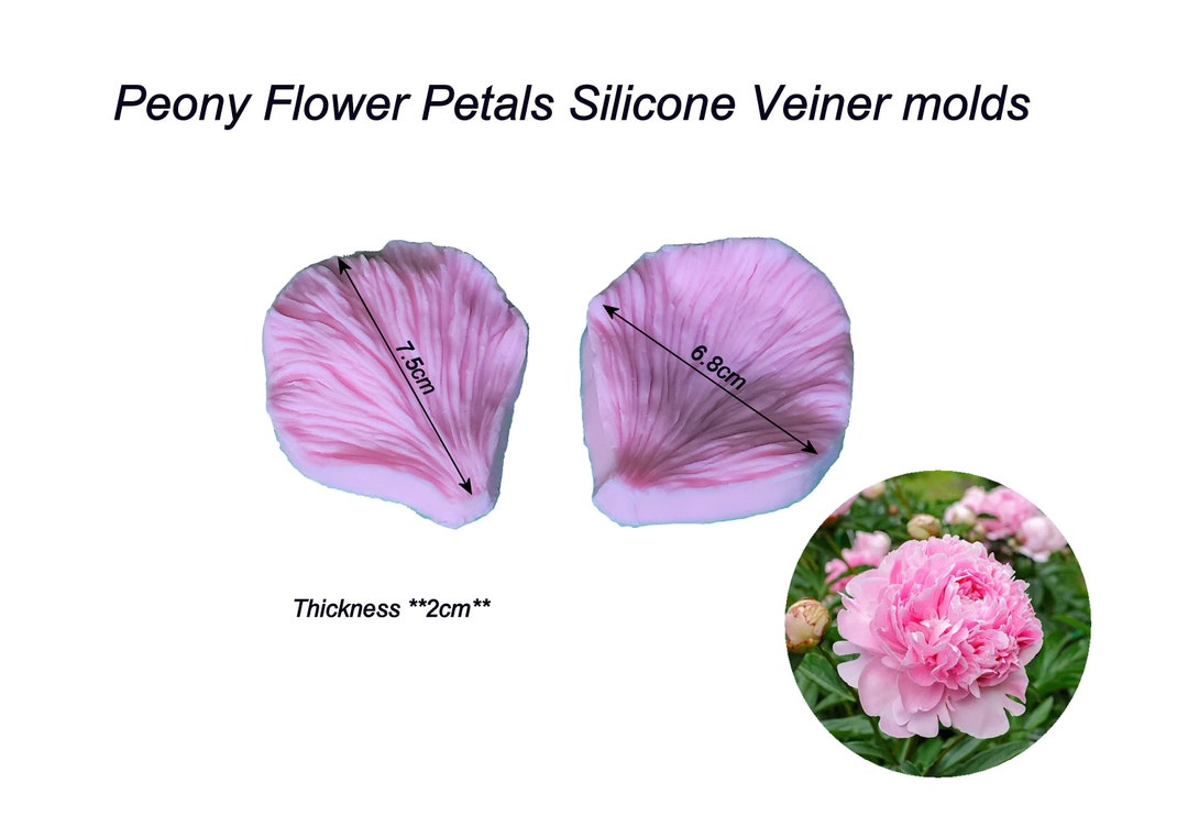 Large Peony Flower Petals Silicone Veiner Molds, Clay Flowers