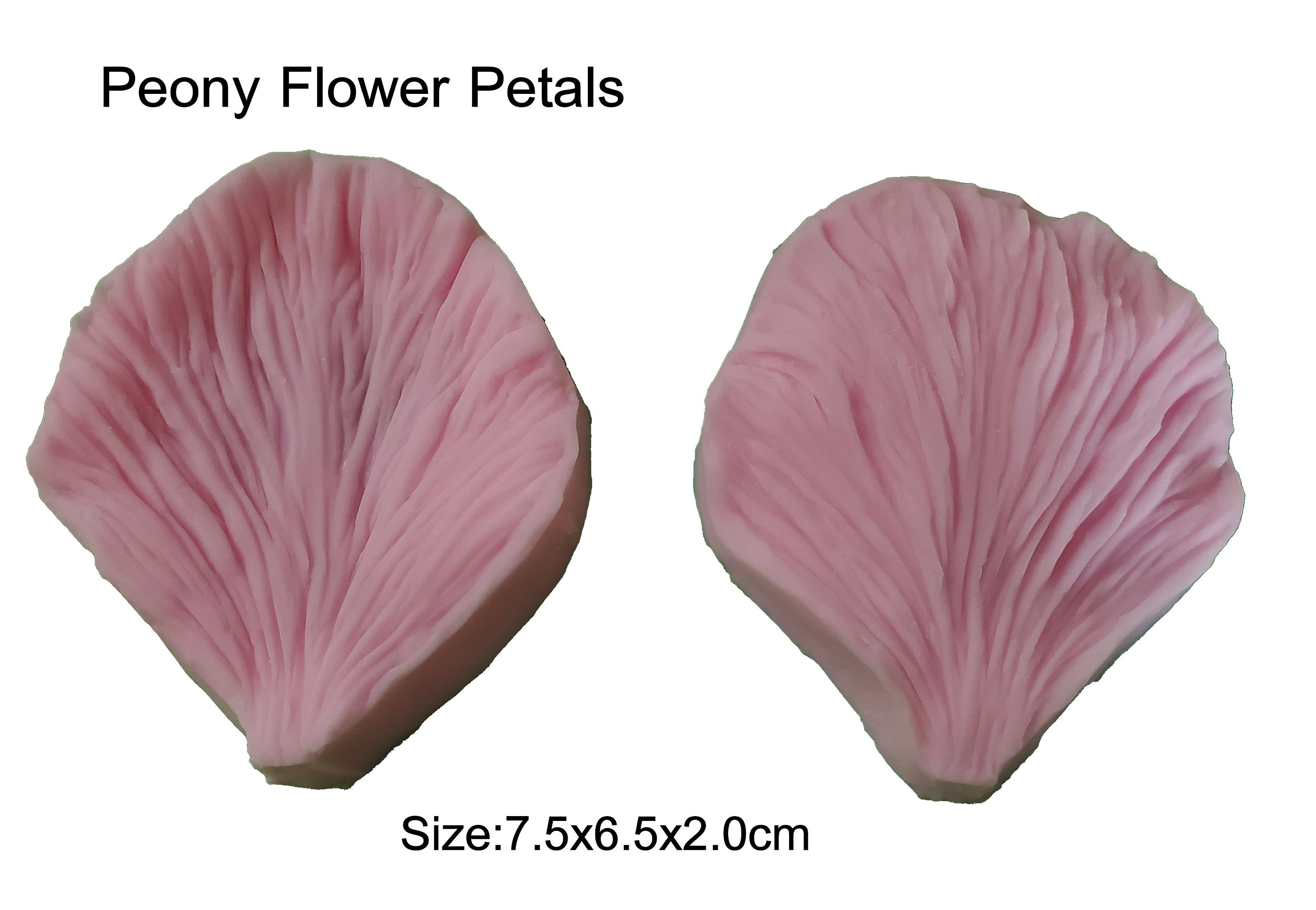 Ak076 Large Peony Flower Petals Silicone Veiner molds Clay Etsy