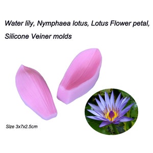 Water lily, Nymphaea lotus, lotus Flower Petals Silicone Veiner molds Clay flowers Artificial flowers, DIY tool, Cake Decorating tools. image 5