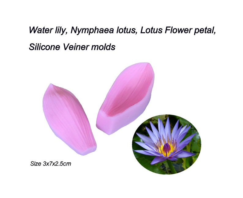 Water lily, Nymphaea lotus, lotus Flower Petals Silicone Veiner molds Clay flowers Artificial flowers, DIY tool, Cake Decorating tools. image 5