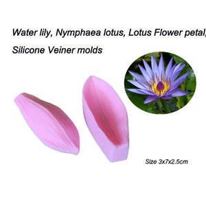 Water lily, Nymphaea lotus, lotus Flower Petals Silicone Veiner molds Clay flowers Artificial flowers, DIY tool, Cake Decorating tools. image 4