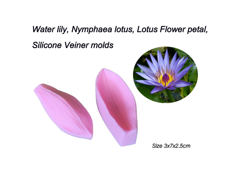 Water lily, Nymphaea lotus, lotus Flower Petals Silicone Veiner molds Clay flowers Artificial flowers, DIY tool, Cake Decorating tools. image 4