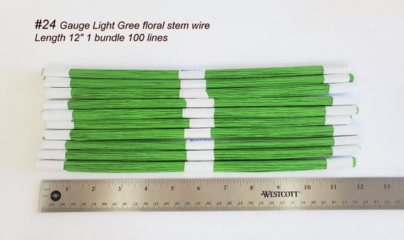 Gauge 24x12'' Light Green Floral Sstem Wire Paper Wrapped
