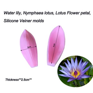 Water lily, Nymphaea lotus, lotus Flower Petals Silicone Veiner molds Clay flowers Artificial flowers, DIY tool, Cake Decorating tools. image 1