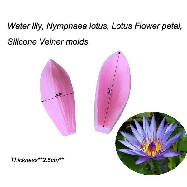 Water lily, Nymphaea lotus, lotus Flower Petals Silicone Veiner molds Clay flowers Artificial flowers, DIY tool, Cake Decorating tools.