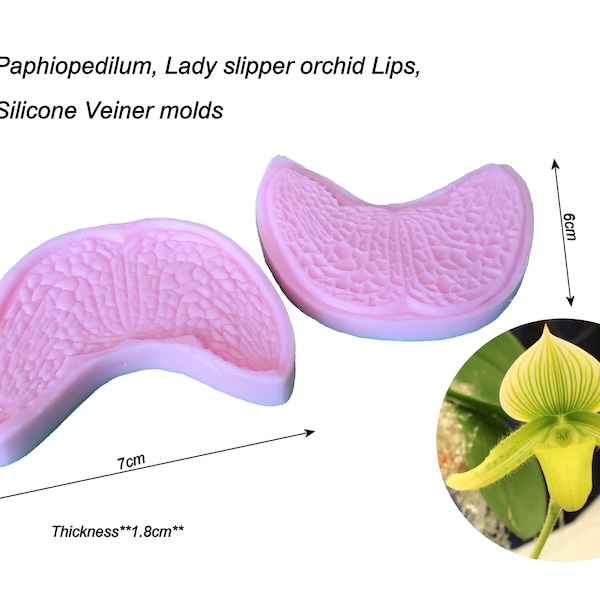 Paphiopedilum Orchid lip, Lady slipper orchid lip Silicone Veiner molds, Clay flowers Artificial flowers,  sugar flower, Cake Decorating