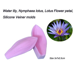 Water lily, Nymphaea lotus, lotus Flower Petals Silicone Veiner molds Clay flowers Artificial flowers, DIY tool, Cake Decorating tools. image 2