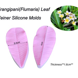 May include: Two pink silicone molds for making frangipani leaves. The molds are 5.5 inches wide and 13 inches long. The thickness of the molds is 1.6 cm.