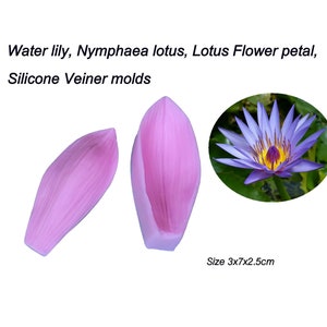 Water lily, Nymphaea lotus, lotus Flower Petals Silicone Veiner molds Clay flowers Artificial flowers, DIY tool, Cake Decorating tools. image 3