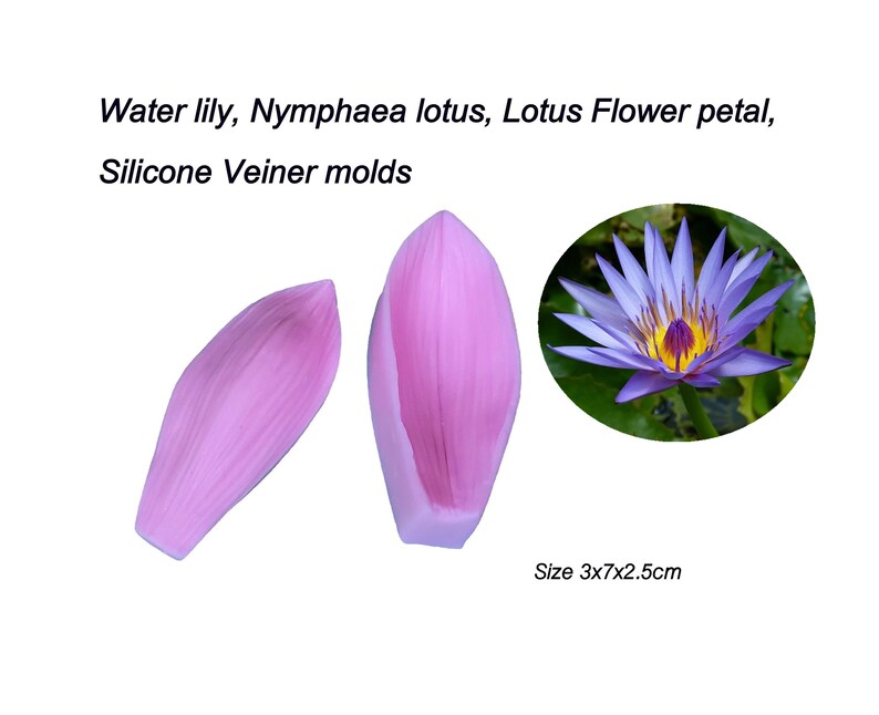 Water lily, Nymphaea lotus, lotus Flower Petals Silicone Veiner molds Clay flowers Artificial flowers, DIY tool, Cake Decorating tools. image 3