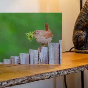 Biglietto d'auguri per lo scricciolo che canta. Biglietto per la fauna selvatica, biglietto per scricciolo, biglietto d'auguri, biglietto vuoto, foto di scricciolo, scricciolo, biglietto per animali, biglietto per uccelli, scricciolo canterino