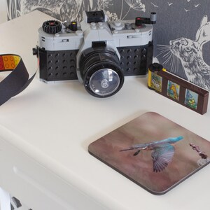Diving Kingfisher Coaster. Kingfisher Coaster, Kingfisher, Bird Coaster, Coffee, Coaster, Wildlife Coaster, Kingfisher Photo, Coaster, Photo