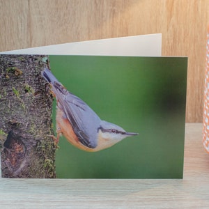 Kleiber Grußkarten. Kleiber, Vogelkarte, Gartenvögel, Gartenvogel, Grußkarte, Waldvogel, Wildtierkarte, Naturkarte, Vögel