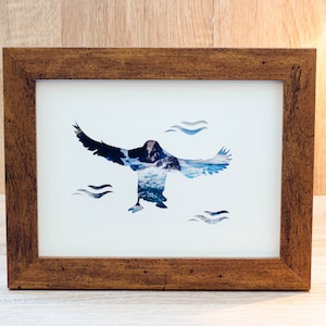 3D Puffin Silhouette Photo Artwork (200mm x 150mm). Foto pulcinella di mare, silhouette, foto della fauna selvatica, unica, fatta a mano, foto 3D, costa, pulcinella di mare, mare