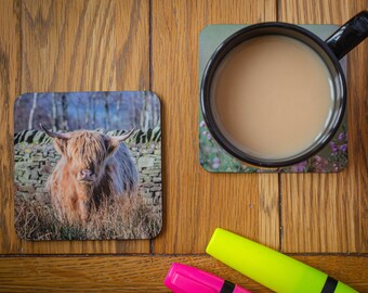 Highland Cow Nature Coaster. Coaster, Cow Coaster, Highland Cow, Landscape Coaster, Nature Coaster