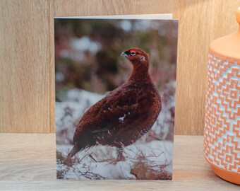Carte de voeux de tétras-lyre dans la neige. Tétras lyre, Carte tétras lyre, Carte oiseau, Carte faune, Carte de vœux, Carte vierge, Carte de Noël