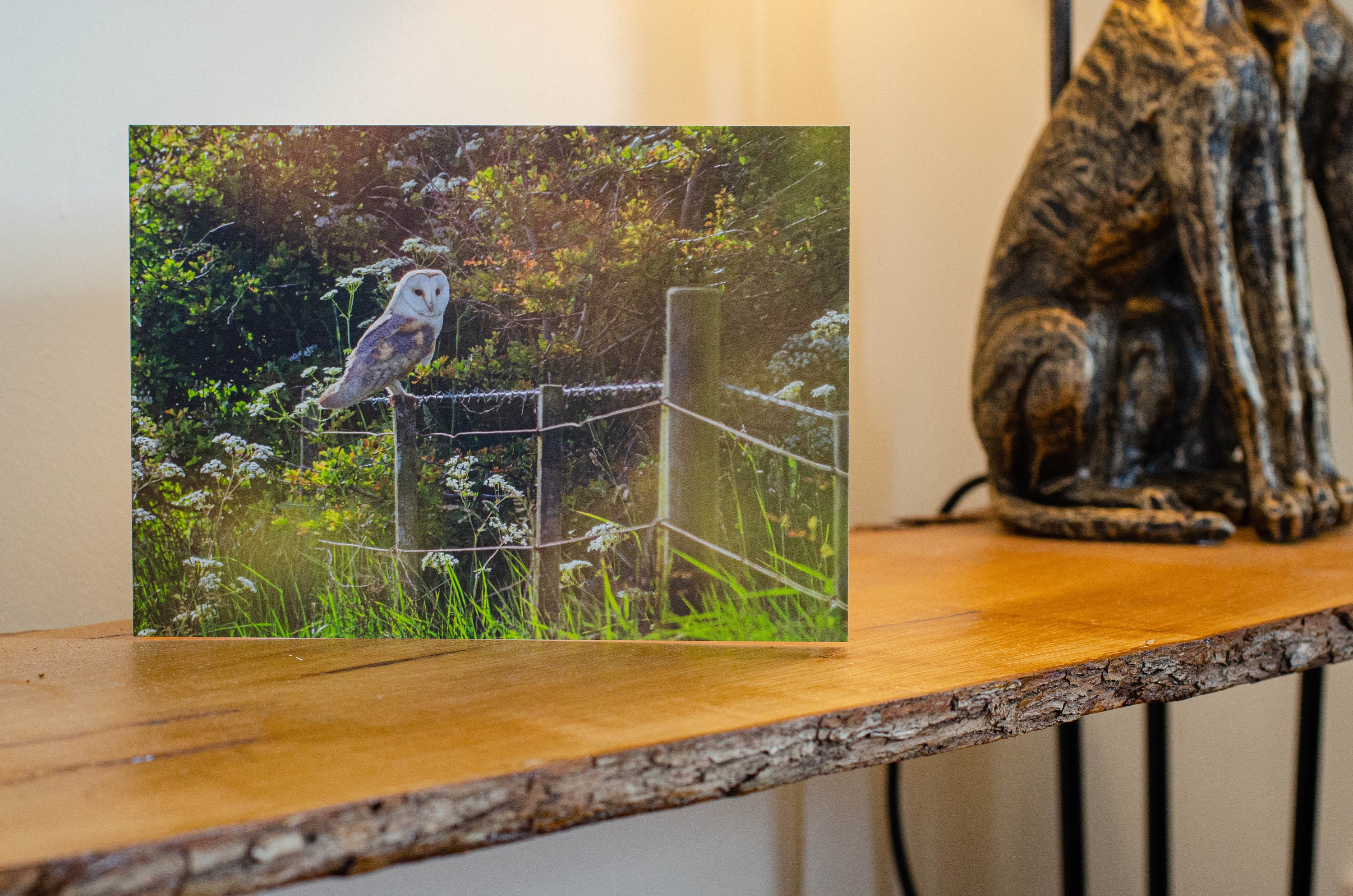 Barn Owl at Sunset Greetings Card. Barn Owl, Barn Owl Greeting Card, Owl Card, Bird Card, Greetings 