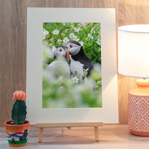 Puffin Paire Photo Print (303mm x 406mm), Puffin Photo, Mounted Print, Puffin Print, Wildlife Photo, Wildlife Photo, Farne Islands, Handmade