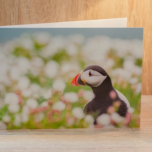Papageitaucher in Blumen Grußkarte. Papageientaucher, Papageientaucher Karte, Wildtier-Karte, Vogel-Karte, Gruß-Karte, leere Karte, Karte, Papageientaucher-Foto