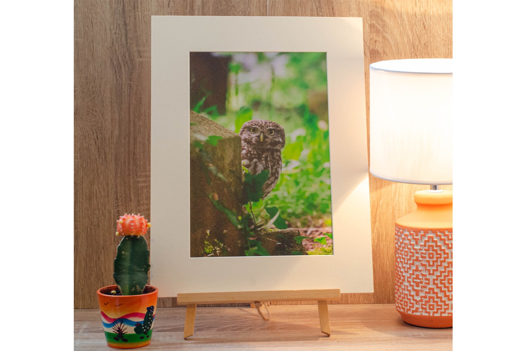 Cheeky Little Owl Photo Print (303mm x 406mm) Wildlife Print, Nature Print, Bird Print, Mounted Prin