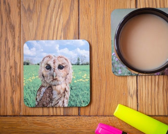 Tawny Owl in a Field Coaster. Tawny Owl Coaster, Owl Coaster, Tawny Owl, Owl Coaster, Coaster,