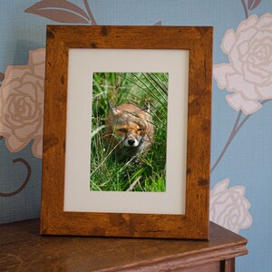 Red Fox Photo Print (200mm x 150mm) Red Fox Photo, Red Fox Print, Wildlife Photo , Mounted Print, Handmade, Fox Photo, Fox, Fox Photograph