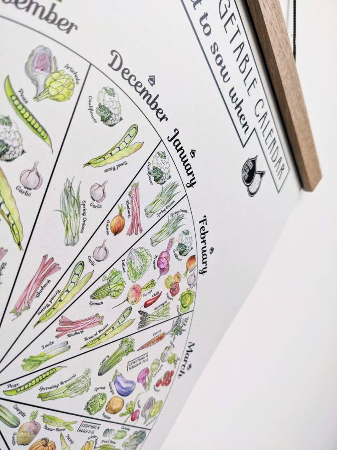 Seasonal Vegetable Sowing Calendar Chart an A3 Print on 100 Etsy UK