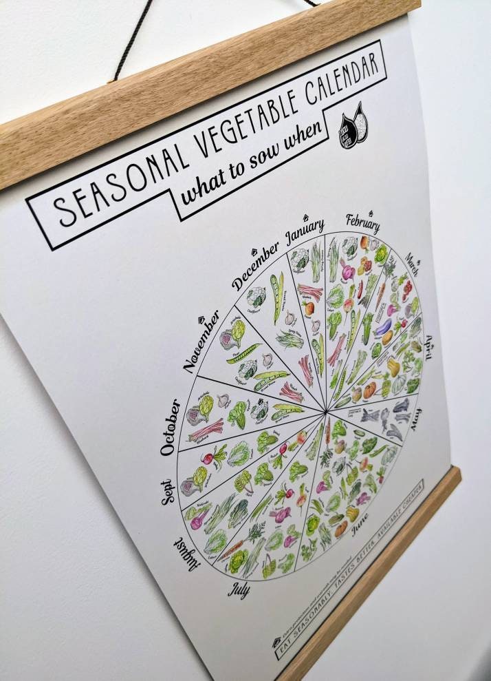Seasonal Vegetable Sowing Calendar Chart an A3 Print on 100 Etsy UK