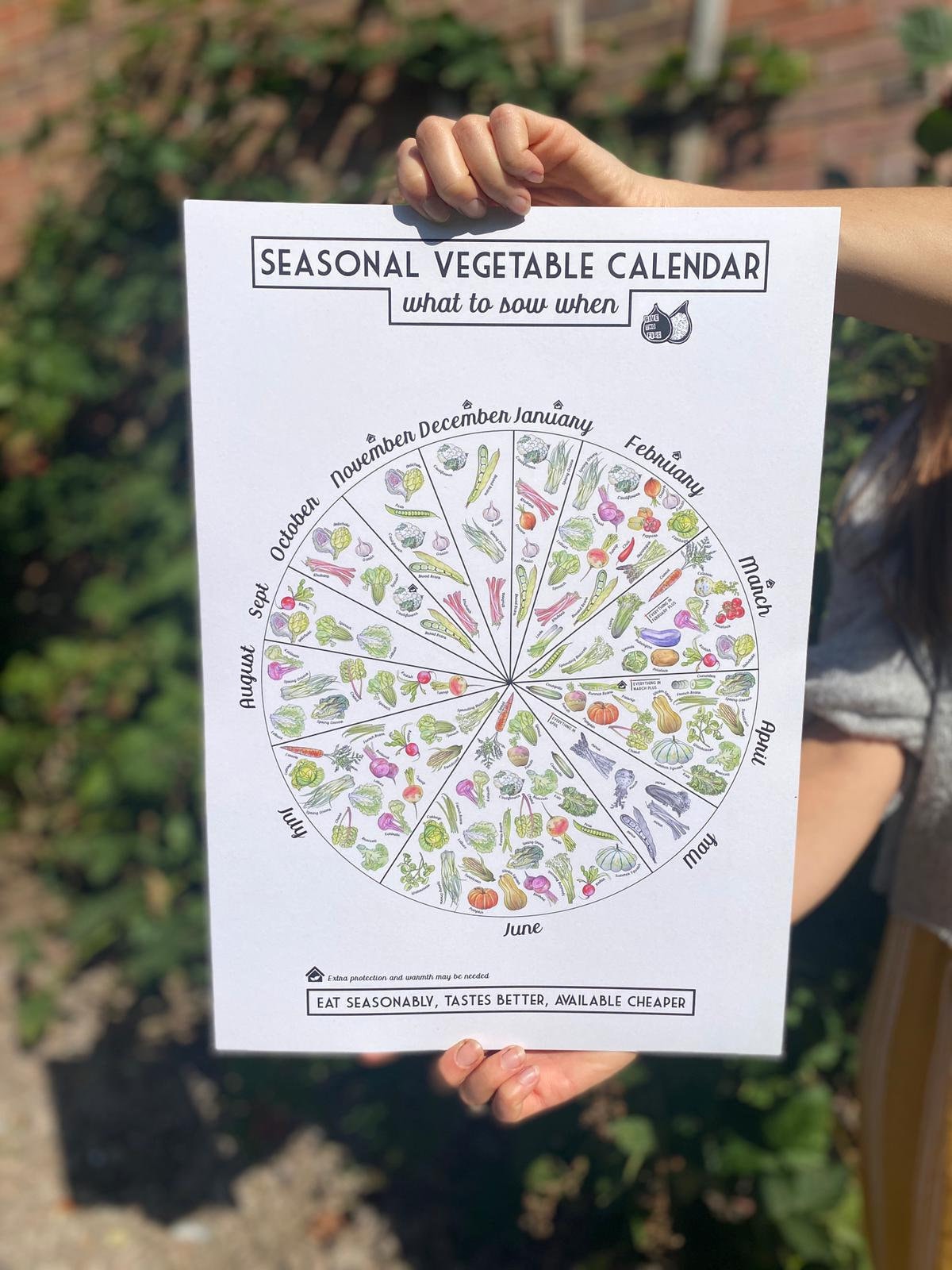 Seasonal Vegetable Sowing Calendar Chart An A3 Print on 100 Etsy