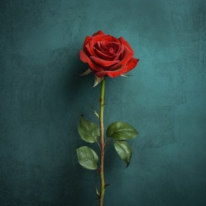 Lectura integral del tarot de amor, romance y relaciones de 15 cartas / / Oráculo psíquico Orientación experimentada Consejos de amor